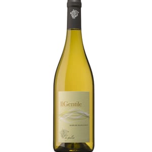 Il Gentile - Di Giulia - giulia-fiorentini