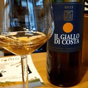 Il Giallo di Costa 2017