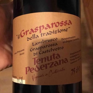 Il Grasparossa della Tradizione - Azienda Agricola Tenuta Pederzana - francesco-gibellini -2021