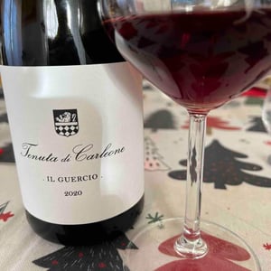 Il Guercio - Tenuta di Carleone - sean-ocallaghan
