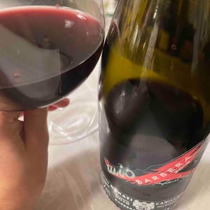 Il Mio Barbera - Camillo Donati - camillo-donati