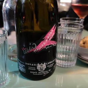 Il Mio Barbera 2020 - Camillo Donati - Camillo Donati