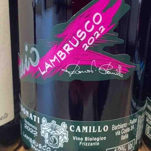 Il Mio Lambrusco - Camillo Donati - camillo-donati