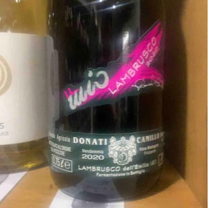 Il Mio Lambrusco - Camillo Donati - camillo-donati