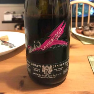 Camillo Donati - Camillo Donati - Il Mio Lambrusco