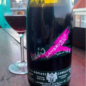 Il Mio Lambrusco - Camillo Donati - Camillo Donati 