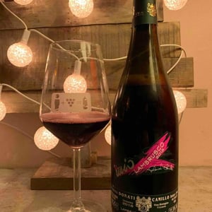 Camillo Donati - Camillo Donati - Il Mio Lambrusco