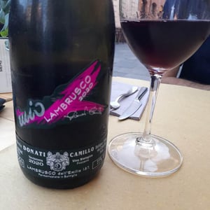Camillo Donati - Camillo Donati - Il Mio Lambrusco