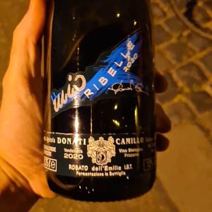 Camillo Donati - Camillo Donati - Il Mio Lambrusco