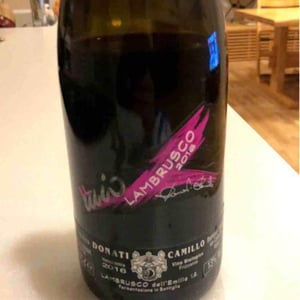 Camillo Donati - Camillo Donati - Il Mio Lambrusco