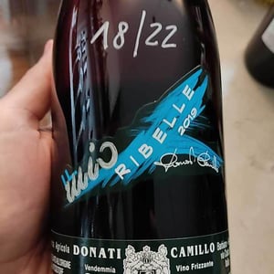 Camillo Donati - Camillo Donati - Il Mio Lambrusco