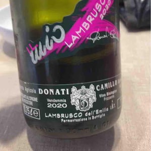 Camillo Donati - Camillo Donati - Il Mio Lambrusco