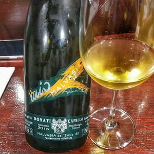 Il Mio Malvasia - Camillo Donati - camillo-donati