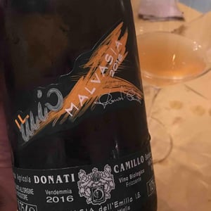 Camillo Donati - Camillo Donati - Il Mio Malvasia