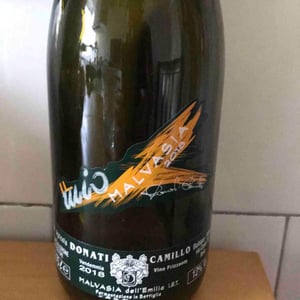 Camillo Donati - Camillo Donati - Il Mio Malvasia