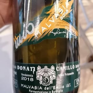 Camillo Donati - Camillo Donati - Il Mio Malvasia