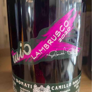 Il Mio Malvasia - Camillo Donati - camillo-donati