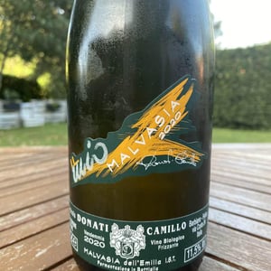 Il Mio Malvasia - Camillo Donati - camillo-donati