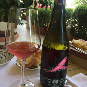 Camillo Donati - Camillo Donati - Il Mio Malvasia Rosa