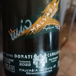 Il Mio Trebbiano - Camillo Donati - Camillo Donati 