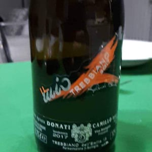 Il Mio Trebbiano - Camillo Donati - camillo-donati