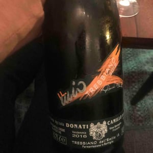 Il Mio Trebbiano - Camillo Donati - camillo-donati