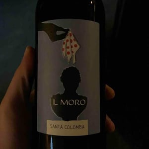 Il Moro - Azienda Agricola Santa Colomba - Marco Dani & Gianfranco Mistrorigo 