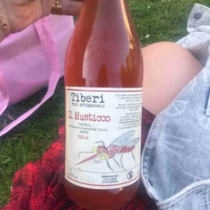 Il Musticco - Tiberi Vini Artigianali - Cesare, Piero & Federico Tiberi 