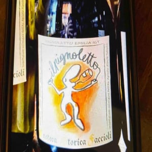 Il Pignoletto Orange - Emilia Romagna - enoteca-storica-faccioli -2020