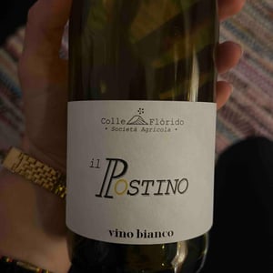 il positano - positano - colle-florido -2021