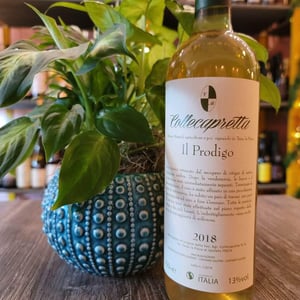 Il Prodigo - Collecapretta - anna-vittorio-mattioli -2018
