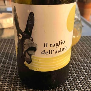 Il Raglio Dell’asino - L'Acino - dino-briglio-nigro