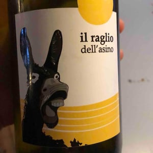 Il Raglio Dell’asino - L'Acino - Dino Briglio Nigro 
