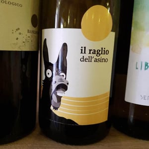 Il Raglio Dell’asino - L'Acino - Dino Briglio Nigro 