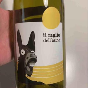 Il Raglio Dell’asino - L'Acino - Dino Briglio Nigro 