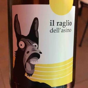 Il Raglio Dell’asino - L'Acino - dino-briglio-nigro