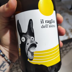 Il Raglio Dell’asino - L'Acino - Dino Briglio Nigro 