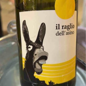 Il Raglio Dell’asino - L'Acino - dino-briglio-nigro