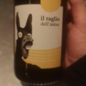 Il Raglio Dell’asino - L'Acino - dino-briglio-nigro