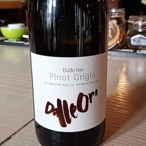 Il Riesling - Tenuta Dalle Ore - Marco Margoni 