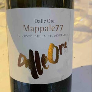 Il Riesling - Tenuta Dalle Ore - Marco Margoni 