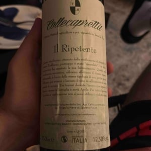 Il ripetente - Collecapretta - anna-vittorio-mattioli