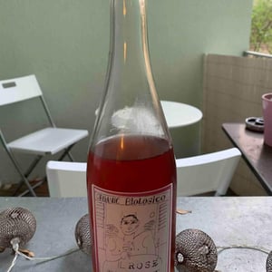IL ROSÉ and The Beast - Soc. Coop. Agr. Valli Unite - valli-unite