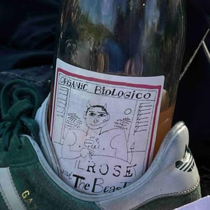 IL ROSÉ and The Beast - Soc. Coop. Agr. Valli Unite - valli-unite