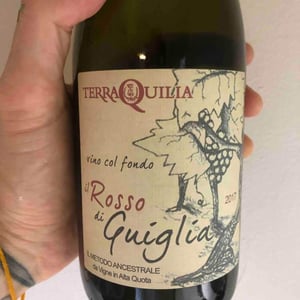 Il Rosso Di Guiglia - TerraQuilia Società Agricola S.S. - romano-giorgia-mattioli