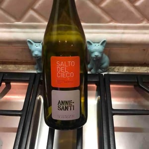 Il Salto Del Cieco - AnneSanti - francesco-annesanti