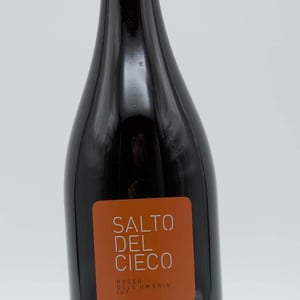 Il Salto Del Cieco - AnneSanti - francesco-annesanti