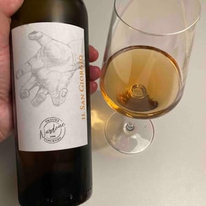 Il San Giorgio - Tenuta Vincenzo Nardone - Nicola Nardone 