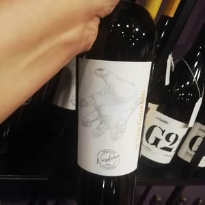 Il San Giorgio - Tenuta Vincenzo Nardone - nicola-nardone