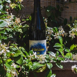 Il San Lorenzo Bianco - Fattoria San Lorenzo - natalino-crognaletti